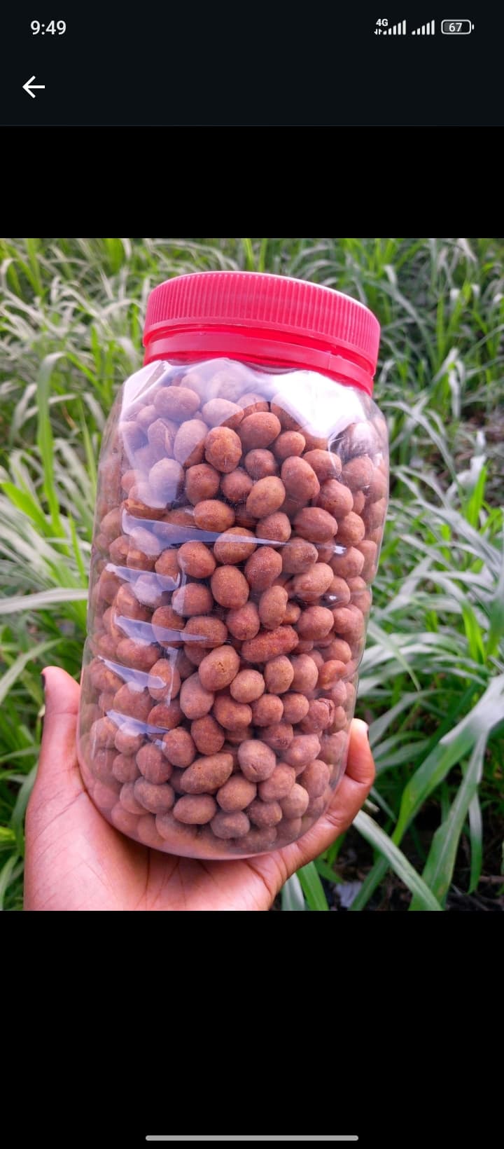 Peanuts burger Big jar