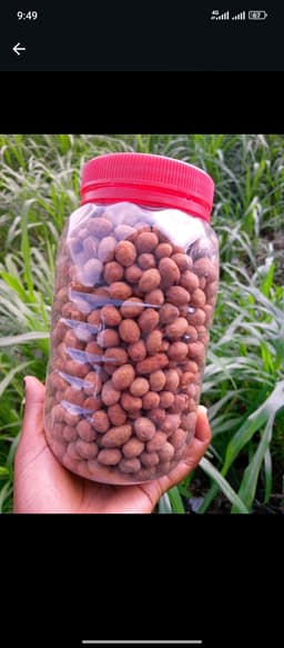 Peanuts burger Big jar